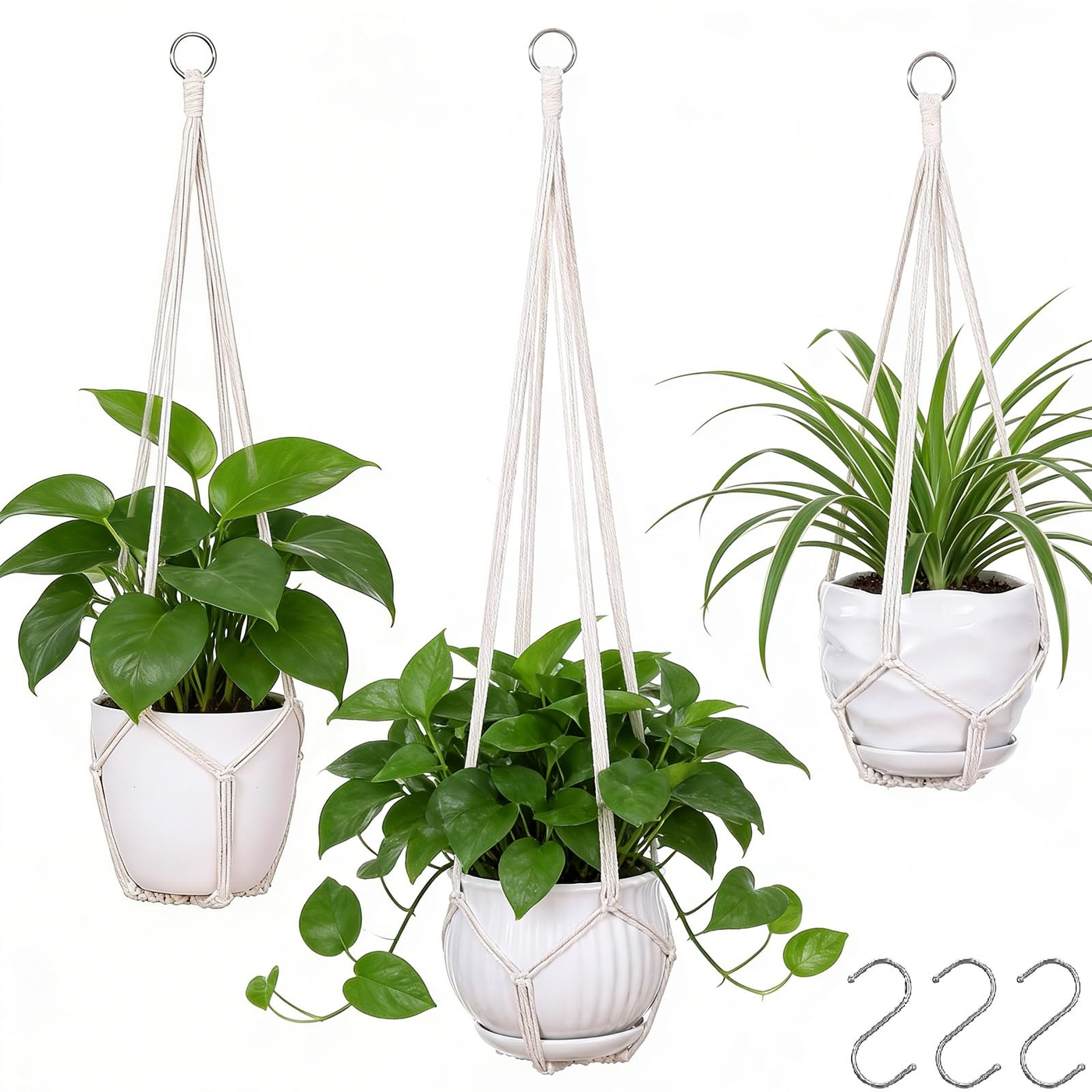 store-033-sku-12-4.png