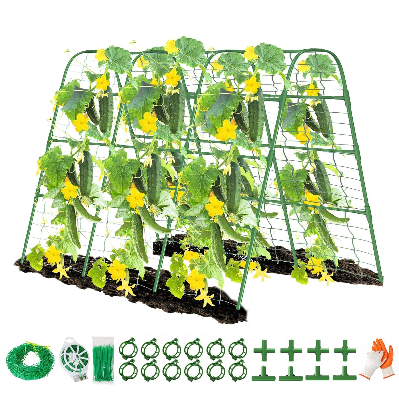 store-033-sku-2-3.png