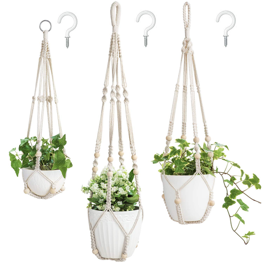 store-033-sku-12-1.png