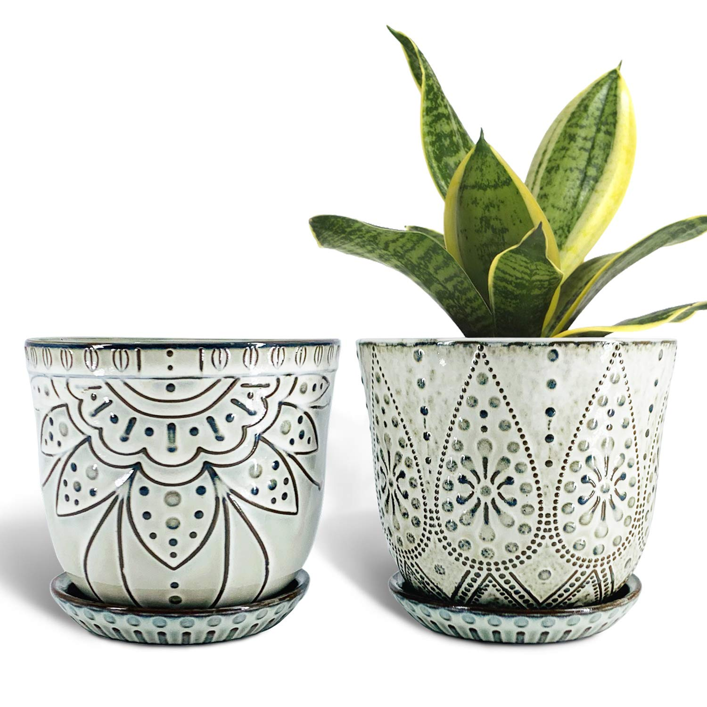 store-033-sku-5-3.png