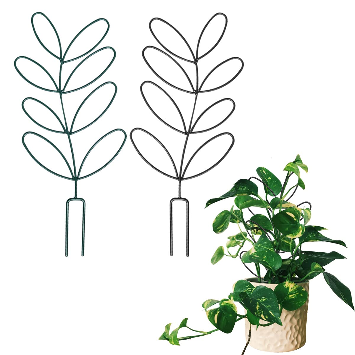 store-033-sku-6-5.png
